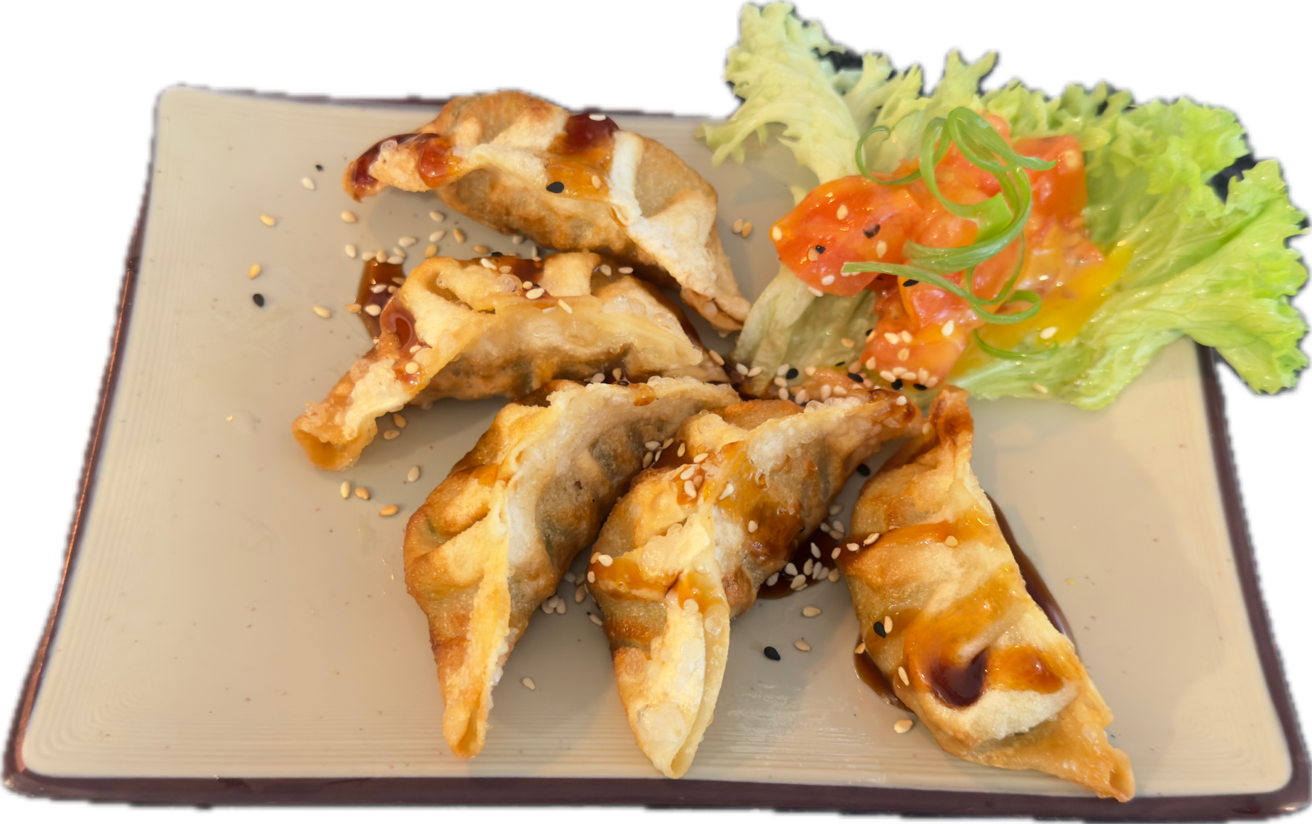 Gyoza Veggie (5 Stk.)